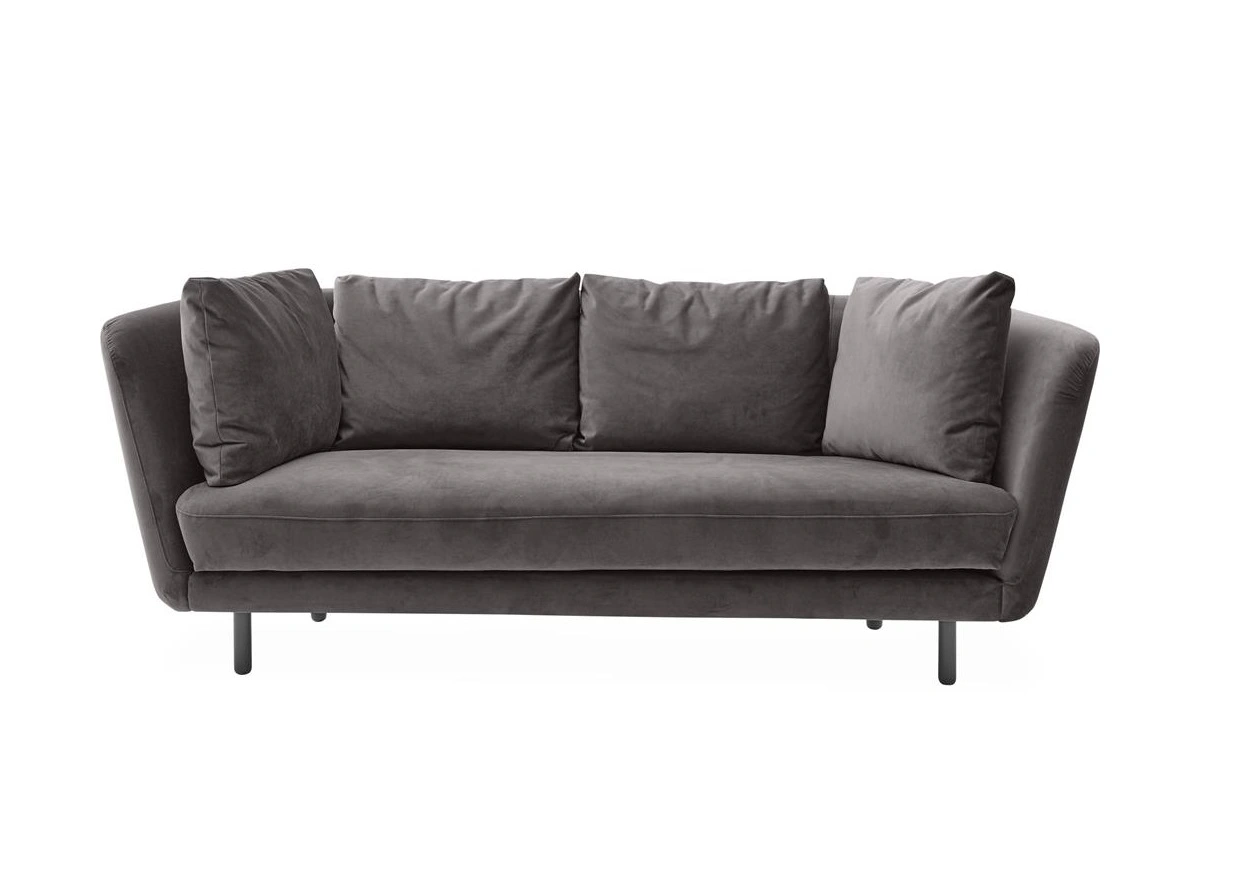 Petri-2,5so-Trento-darkgrey1