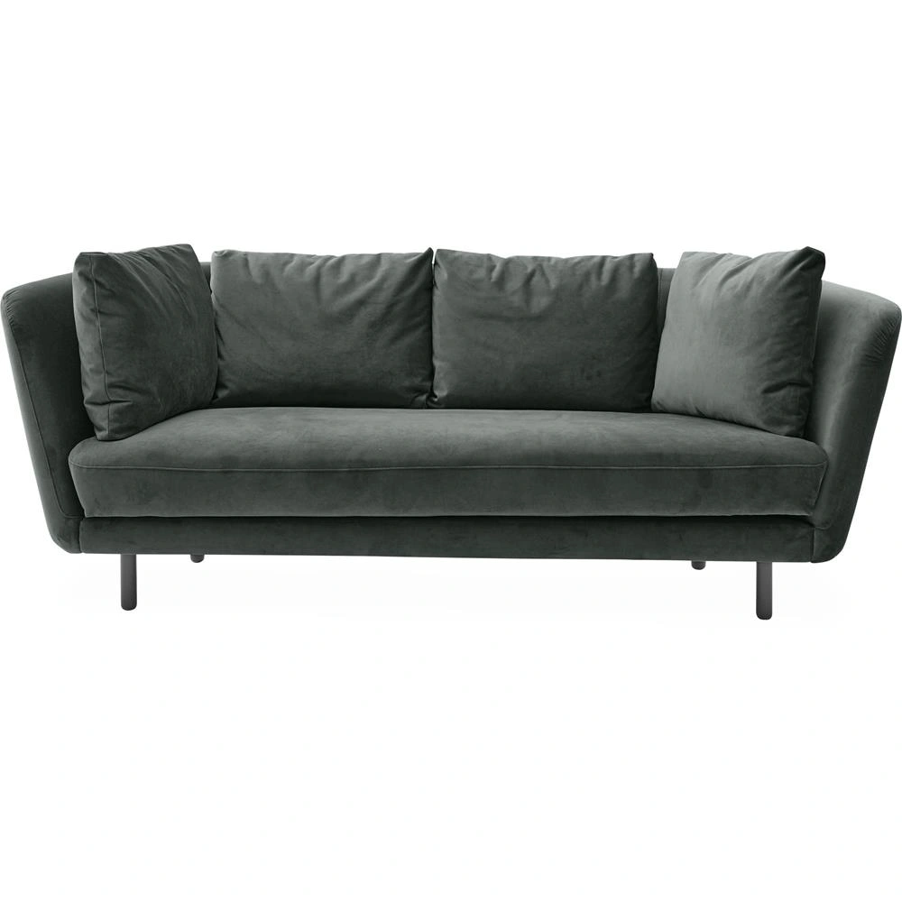 Petri-2,5so-Trento-emerald1