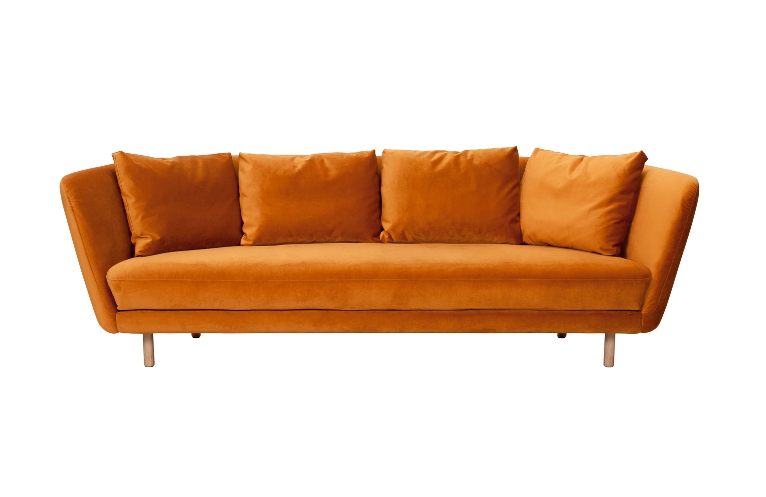 Petri-3so-Trento-mustard1